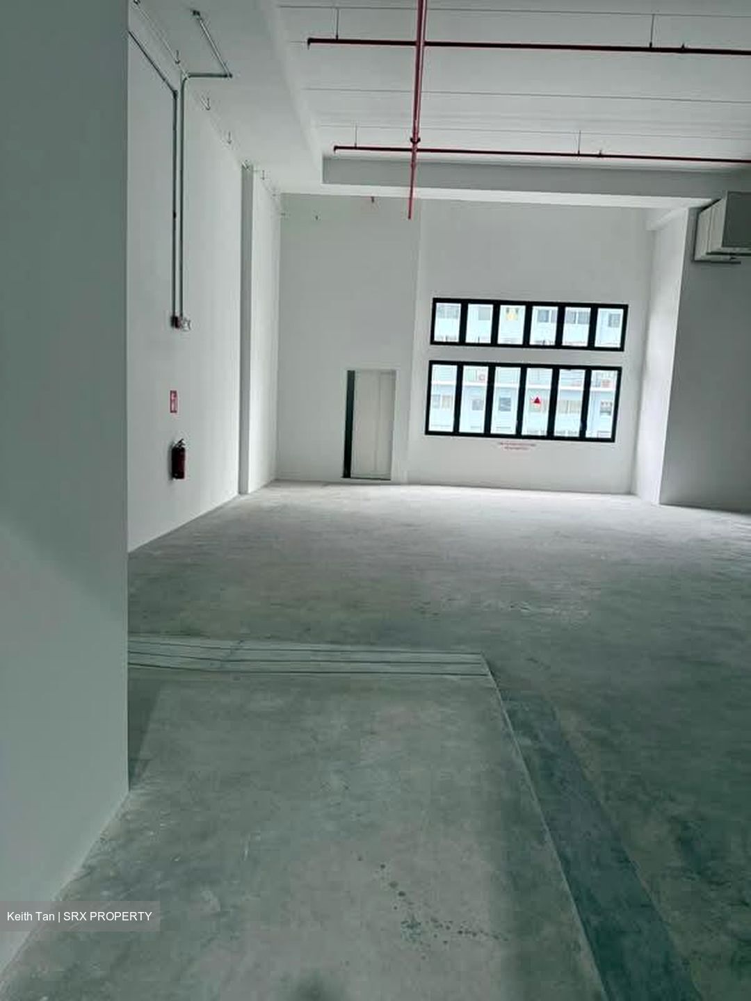 Ct Foodnex (D25), Factory #590446611